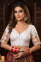 Beyond the Galaxy – Pitai Zari Designer Blouse