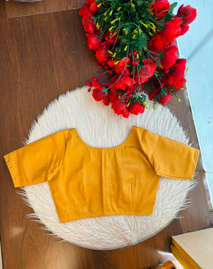 Beyond Ordinary - Tissue Designer  Blouse