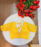 Shiuli Radiance – Designer Organza Blouse